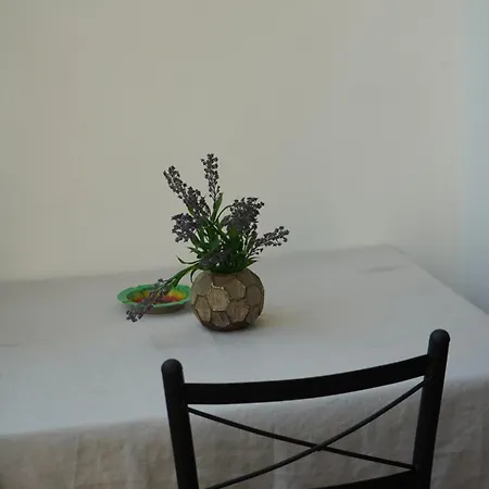 Sea Breeze Studio *
